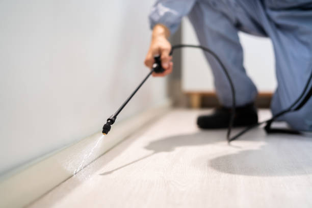 Licensed Termite Control service in St. Charles, MI - Nex Pest Control