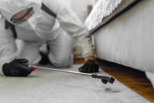 Professional Termite Control technician working in St. Charles, MI
