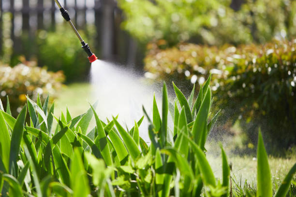 24/7 Emergency Termite Control experts in St. Charles, MI
