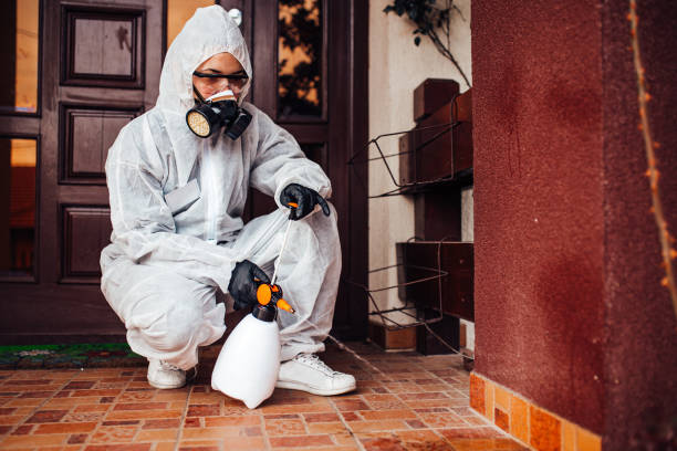 Reliable Termite Control contractor in St. Charles, MI by Nex Pest Control