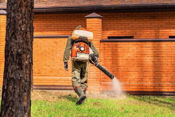 Trusted Ant Control service in St. Charles, MI - Nex Pest Control